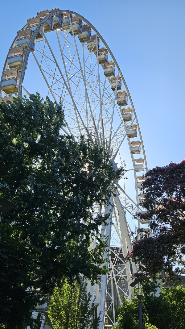 d3c0bc245e786341a15b628e900b1d93_1752489483_7992.jpg