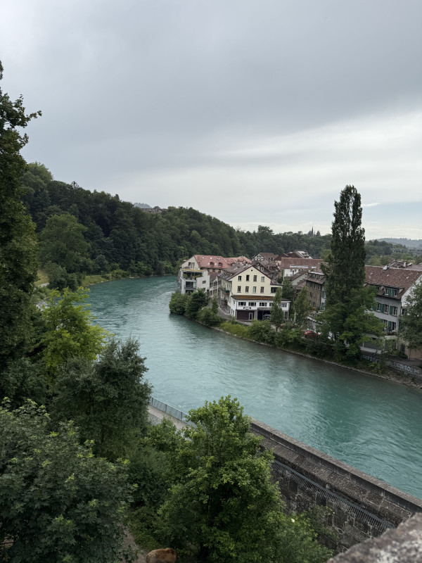 d9b06885b24fdc635c7cc404263d05de_1752775051_6719.jpg d9b06885b24fdc635c7cc404263d05de_1752775051_6719.jpg